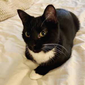 Meet your Posher, Vivi